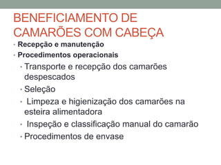 BENEFICIAMENTO DE
CAMARÕES COM CABEÇA
• Recepção e manutenção
• Procedimentos operacionais
• Transporte e recepção dos camarões
despescados
• Seleção
• Limpeza e higienização dos camarões na
esteira alimentadora
• Inspeção e classificação manual do camarão
• Procedimentos de envase
 