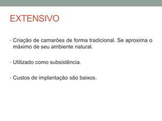 EXTENSIVO
• Criação de camarões de forma tradicional. Se aproxima o
máximo de seu ambiente natural.
• Utilizado como subsistência.
• Custos de implantação são baixos.
 