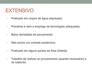 EXTENSIVO
• Praticado em corpos de água (represas);
• Precários e sem o emprego de tecnologias adequadas;
• Baixa densidade de povoamento;
• Não ocorre um controle zootécnico;
• Praticado em alguns países da Ásia (Vietnã);
• Trabalho de realizar os povoamentos (quando necessário) e
as capturas.
 