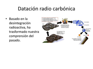 Datación radio carbónica
• Basado en la
desintegración
radioactiva, ha
trasformado nuestra
comprensión del
pasado.
 