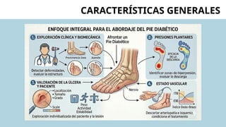 CARACTERÍSTICAS GENERALES
 