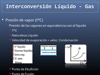 Interconversión Líquido - Gas
 Presión de vapor (t°C)
 Presión de los vapores en equivalencia con el líquido
 T°C
 Naturaleza Líquido
 Velocidad de evaporación = veloc. Condensación

 Punto de Ebullición


 