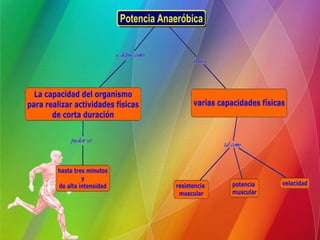 Sistemas de entrenamiento