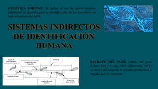 GENÉTICA FORENSE: Se define el uso de ciertas técnicas
empleadas en genética para la identificación de los individuos en
base al análisis del ADN.
SISTEMAS INDIRECTOS
DE IDENTIFICACIÓN
HUMANA
RETRATO DEL PASO: retrato del paso
(López-Rey y Arrojo, 1947; Albarracín, 1971)
se deriva del conjunto de pisadas producidas y
dejadas por el caminante.
 