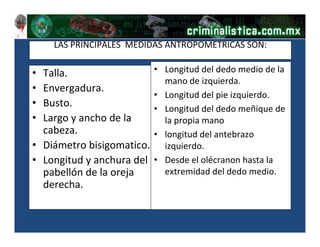 SISTEMAS DE IDENTIFICACION I.pdf