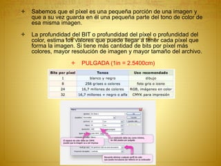  Sabemos que el píxel es una pequeña porción de una imagen y
que a su vez guarda en él una pequeña parte del tono de color de
esa misma imagen.
 La profundidad del BIT o profundidad del píxel o profundidad del
color, estima los valores que puede llegar a tener cada píxel que
forma la imagen. Si tiene más cantidad de bits por píxel más
colores, mayor resolución de imagen y mayor tamaño del archivo.
 PULGADA (1in = 2.5400cm)
 