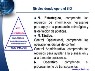 Sistemas De Información Gerencial | PPSX