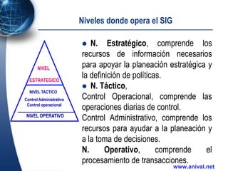 Sistemas De Información Gerencial Slide 6