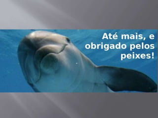 Sistemas de Informação - Faveni - Prof. Evaldo Wolkers - Aula 4