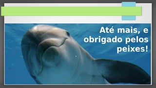 Sistemas de Informação Aula 9