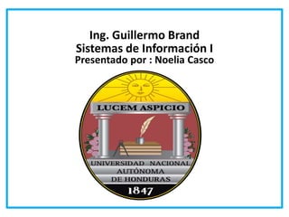 Ing. Guillermo Brand
Sistemas de Información I
Presentado por : Noelia Casco
 