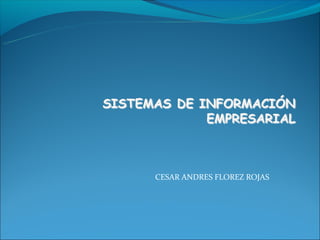 CESAR ANDRES FLOREZ ROJAS
 