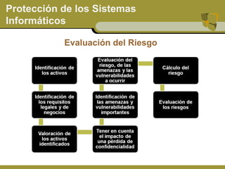 Sistemas de informacion