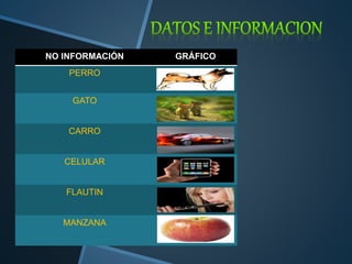 NO INFORMACIÓN GRÁFICO 
PERRO 
GATO 
CARRO 
CELULAR 
FLAUTIN 
MANZANA 
 