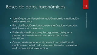 Bases de datos taxonómicas 
 Son BD que contienen información sobre la clasificación 
de los seres vivos 
 Esta clasificación es básicamente jerárquica y basada 
en información molecular 
 Pretende clasificar cualquier organismo del que se 
posea como mínimo una secuencia de acidos 
nucléicos 
 Como puede suponerse el proyecto no está libre de 
controversia debido a las visiones diferentes que existen 
en la comunidad taxonómica 
11 
 