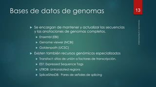 Bases de datos de genomas 
 Se encargan de mantener y actualizar las secuencias 
y las anotaciones de genomas completos. 
 Ensembl (EBI) 
 Genome viewer (NCBI) 
 Goldenpath (UCSC) 
 Existen también recursos genómicos especializados 
 Transfact: sitios de unión a factores de transcripción. 
 EST: Expressed Sequence Tags 
 UTRDB: Untranslated regions 
 SpliceSitesDB: Pares de señales de splicing 
13 
 