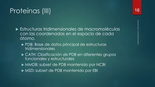 Proteínas (III) 
 Estructuras tridimensionales de macromoléculas 
con las coordenadas en el espacio de cada 
átomo. 
 PDB: Base de datos principal de estructuras 
tridimensionales 
 CATH: Clasificación de PDB en diferentes grupos 
funcionales y estructurales 
 MMDB: subset de PDB mantenido por NCBI 
 MSD: subset de PDB mantenido por EBI 
16 
 