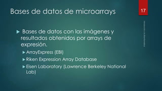 Bases de datos de microarrays 
 Bases de datos con las imágenes y 
resultados obtenidos por arrays de 
expresión. 
ArrayExpress (EBI) 
 Riken Expression Array Database 
 Eisen Laboratory (Lawrence Berkeley National 
Lab) 
17 
 