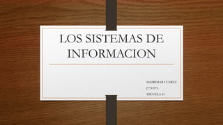 LOS SISTEMAS DE
INFORMACION
ANDRIMAR CUAREZ
27733973.
ESCUELA 41
 