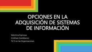 OPCIONES EN LA
ADQUISICIÓN DE SISTEMAS
DE INFORMACIÓN
Valentina Espinosa
Cristhian Castiblanco
TiC´S en las Organizaciones
 