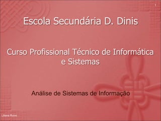 Curso Profissional Técnico de Informática
e Sistemas
Análise de Sistemas de Informação
Liliana Ruivo
1
Escola Secundária D. Dinis
 