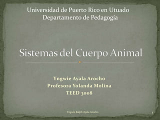 Universidad de Puerto Rico en Utuado
     Departamento de Pedagogía




         Yngwie Ayala Arocho
       Profesora Yolanda Molina
              TEED 3008


              Yngwie Ralph Ayala Arocho   1
 