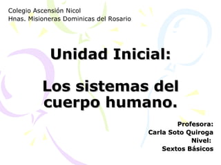 Unidad Inicial: Los sistemas del cuerpo humano. Profesora: Carla Soto Quiroga Nivel:  Sextos Básicos Colegio Ascensión Nicol Hnas. Misioneras Dominicas del Rosario 