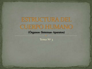Tema Nº 3 ESTRUCTURA DEL CUERPO HUMANO(Órganos- Sistemas- Aparatos) 