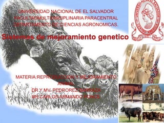 UNIVERSIDAD NACIONAL DE EL SALVADOR
FACULTADMULTIDISCIPLINARIA PARACENTRAL
DEPARTAMENTO DE CIENCIAS AGRONOMICAS.

MATERIA:REPRODUCCION Y MEJORAMIENTO
ANIMAL
DR Y MV. PEDROREZ BARRAZA
BR.CARLOS ARMANDO PONCE

 