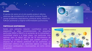 6
PARTICULAS SUSPENDIDAS
Existe una estrecha relación cuantitativa entre la
exposición a altas concentraciones de pequeñas
partículas (PM10 y PM2.5) y el aumento de la mortalidad o
morbilidad diaria y a largo plazo. Las partículas más
dañinas para la salud son las de 10 micrómetros de
diámetro, o menos (≤ PM10), que pueden penetrar y
alojarse en el interior profundo de los pulmones. La
exposición crónica a las partículas agrava el riesgo de
desarrollar cardiopatías y neumopatías, así como cáncer
de pulmón
OZONO
El exceso de ozono en el aire puede producir efectos
adversos de consideración en la salud humana. Puede
causar problemas respiratorios, provocar asma, reducir la
función pulmonar y originar enfermedades pulmonares.
 