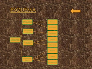 SISTEMAS DE
NUMERACIÓN
Nuestro sistema
de numeración
Decimal
Posicional
Los números
grandes
Los millones
La numeración
romana
Aditiva
Utiliza letras
Numeración
Egipcia
Decimal
Aditivo
No posicional
 