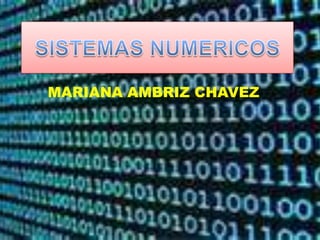 MARIANA AMBRIZ CHAVEZ
 
