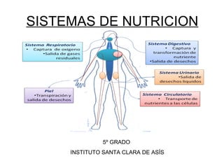 SISTEMAS DE NUTRICION




               5º GRADO
     INSTITUTO SANTA CLARA DE ASÍS
 