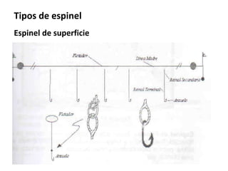 Tipos de espinel
Espinel de superficie
 