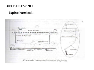 TIPOS DE ESPINEL
Espinel vertical.-
 