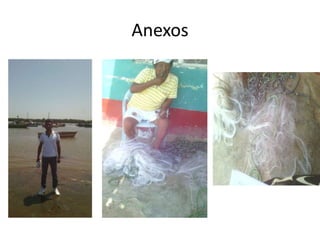 Anexos
 