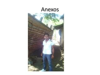 Anexos
 