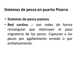 Sistemas de pesca en puerto Pizarro
• Sistemas de pesca pasivos
• Red cortina .- son redes de forma
rectangular que obstruyen el paso
migratorio de los peces. Capturan a los
peces por agallamiento enredo o por
embalsamiento.
 
