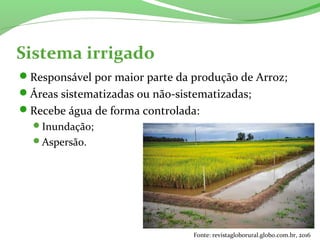 Sistema irrigado
Responsável por maior parte da produção de Arroz;
Áreas sistematizadas ou não-sistematizadas;
Recebe água de forma controlada:
Inundação;
Aspersão.
Fonte: revistagloborural.globo.com.br, 2016
 