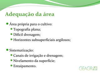 Adequação da área
Área própria para o cultivo:
Topografia plana;
Difícil drenagem;
Horizontes subsuperficiais argilosos;
Sistematização:
Canais de irrigação e drenagem;
Nivelamento da superfície;
Entaipamento.
 