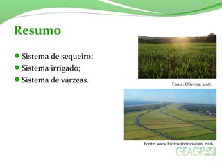 Sistema de sequeiro;
Sistema irrigado;
Sistema de várzeas.
Resumo
Fonte: Oliveira, 2016.
Fonte: www.hidrosistemas.com, 2016.
 