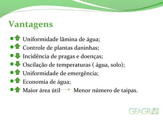 Vantagens
 Uniformidade lâmina de água;
 Controle de plantas daninhas;
 Incidência de pragas e doenças;
 Oscilação de temperaturas ( água, solo);
 Uniformidade de emergência;
 Economia de água;
 Maior área útil Menor número de taipas.
 