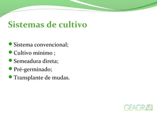 Sistemas de cultivo
Sistema convencional;
Cultivo mínimo ;
Semeadura direta;
Pré-germinado;
Transplante de mudas.
 