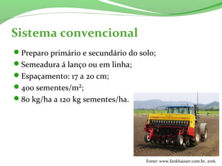 Sistema convencional
Preparo primário e secundário do solo;
Semeadura á lanço ou em linha;
Espaçamento: 17 a 20 cm;
400 sementes/m²;
80 kg/ha a 120 kg sementes/ha.
Fonte: www.fankhauser.com.br, 2016.
 