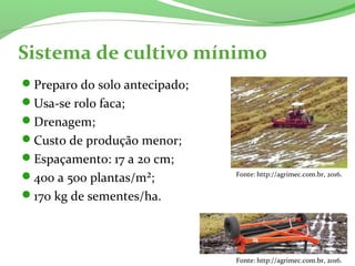 Sistema de cultivo mínimo
Preparo do solo antecipado;
Usa-se rolo faca;
Drenagem;
Custo de produção menor;
Espaçamento: 17 a 20 cm;
400 a 500 plantas/m²;
170 kg de sementes/ha.
Fonte: http://agrimec.com.br, 2016.
Fonte: http://agrimec.com.br, 2016.
 