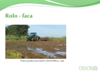 Rolo - faca
Fonte: youtube.com/watch?v=vZwY2VZbCoo , 2016.
 