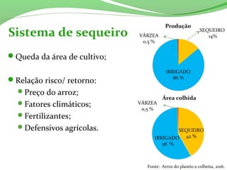 Sistema de sequeiro
Fonte: Arroz do plantio a colheita, 2016.
IRRIGADO
58 %
Queda da área de cultivo;
Relação risco/ retorno:
Preço do arroz;
Fatores climáticos;
Fertilizantes;
Defensivos agrícolas.
IRRIGADO
86 %
SEQUEIRO
14%
Área colhida
Produção
VÁRZEA
0,5 %
VÁRZEA
0,5 %
 