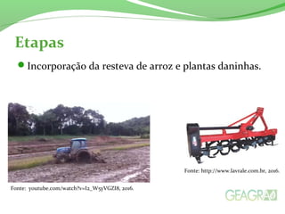Etapas
Incorporação da resteva de arroz e plantas daninhas.
Fonte: http://www.lavrale.com.br, 2016.
Fonte: youtube.com/watch?v=I2_W5yVGZI8, 2016.
 