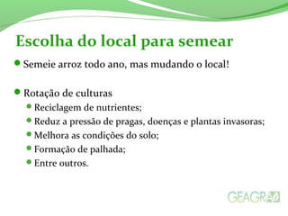 Semeie arroz todo ano, mas mudando o local!
Rotação de culturas
Reciclagem de nutrientes;
Reduz a pressão de pragas, doenças e plantas invasoras;
Melhora as condições do solo;
Formação de palhada;
Entre outros.
Escolha do local para semear
 