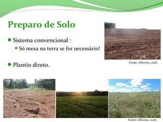 Sistema convencional :
Só mexa na terra se for necessário!
Plantio direto.
Preparo de Solo
Fonte: Oliveira, 2016.
Fonte: Oliveira, 2016.
 